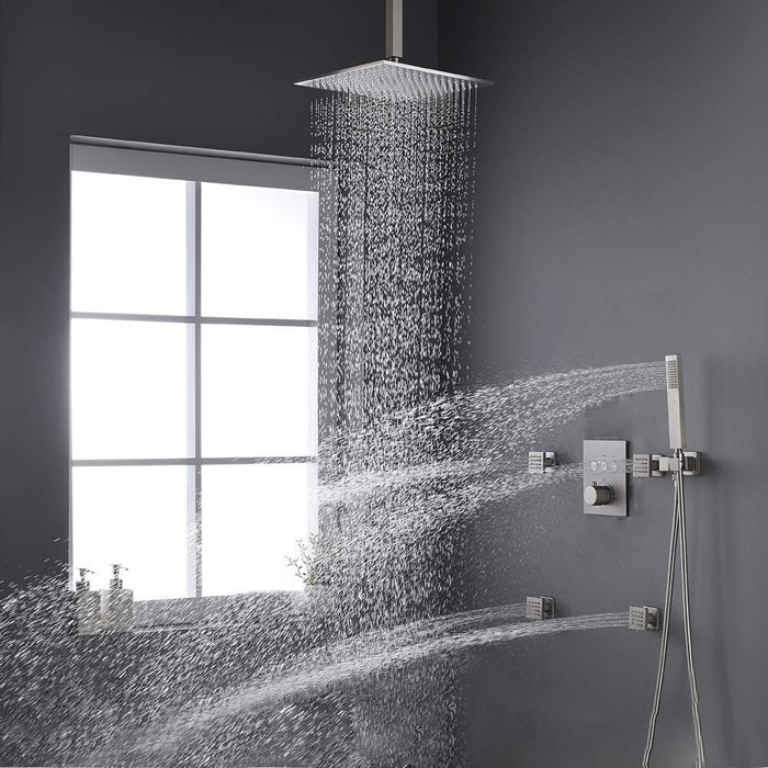 Shower Wise Filtration System